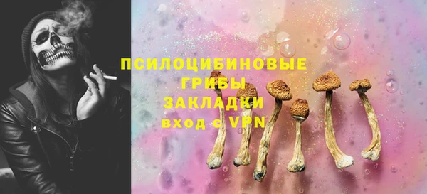 метадон Михайлов