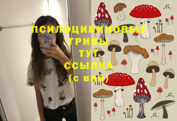 хмурый Костерёво