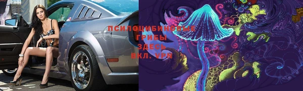 прущая мука Остров