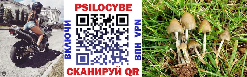 mega ССЫЛКА  Красный Сулин  дарк нет состав  Галлюциногенные грибы Psilocybe 